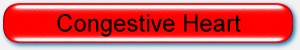 Congestive-Heart